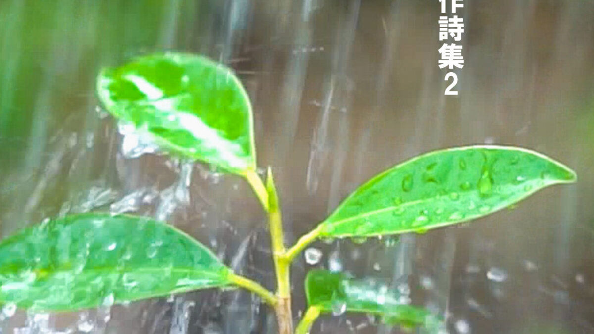 【書籍編集】『柴犬梅尔日记創作詩集 Vol.2　表紙』