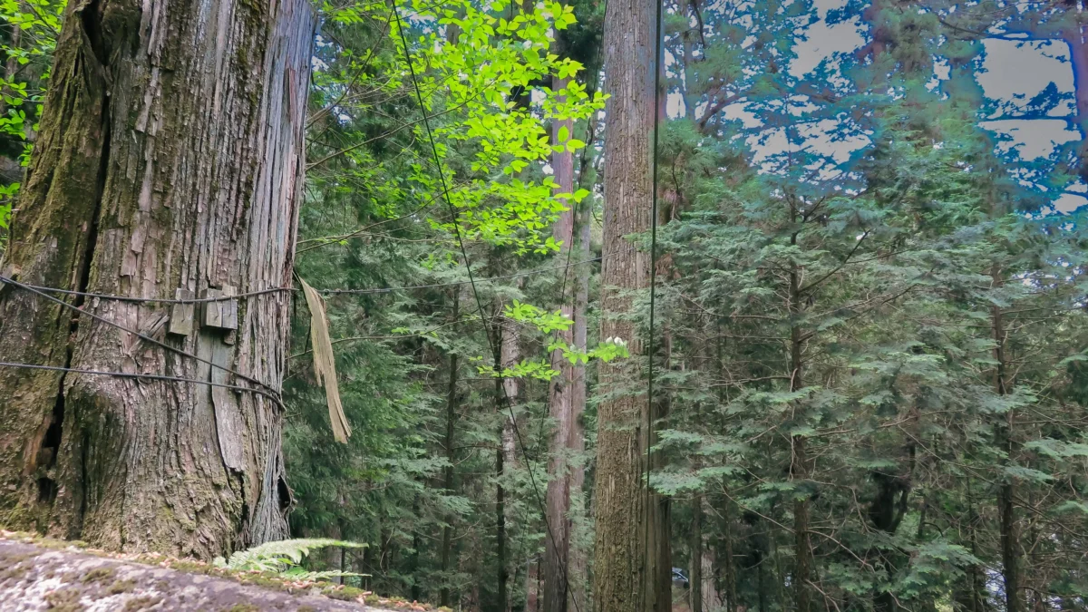 【作業について】インタビューに関するお約束