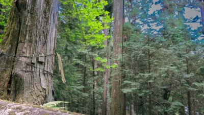 【作業について】インタビューに関するお約束